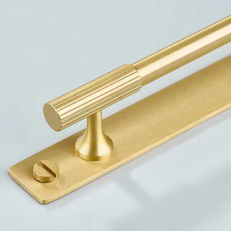Qeld Linear Knurled Brass Cabinet Handle With Backplate - Gold