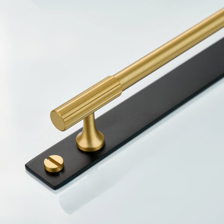 Qeld Linear Knurled Brass Cabinet Handle With Backplate - Gold and Black